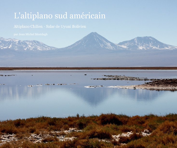 View l'altiplano sud américain by par Jean Michel Mestdagh