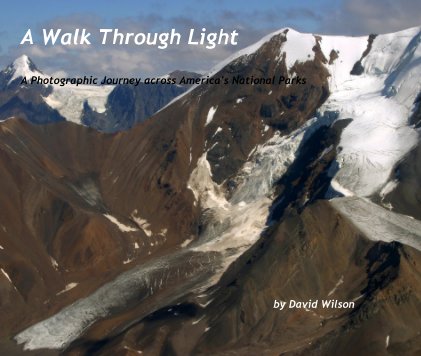 A Walk Through Light book cover