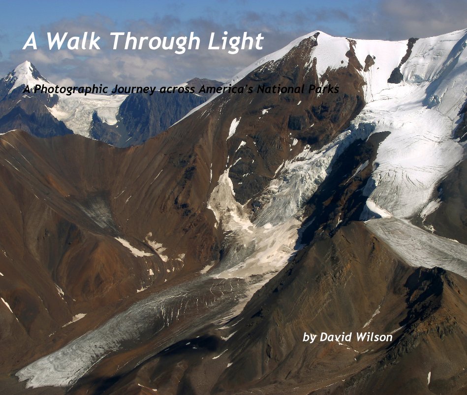 View A Walk Through Light by David Wilson