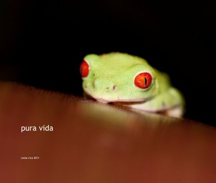 pura vida book cover