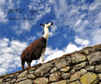PERU' 2011 book cover