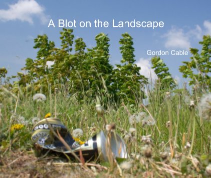 A Blot on the Landscape book cover