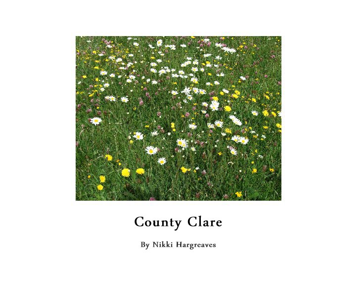 Visualizza County Clare di Nikki Hargreaves