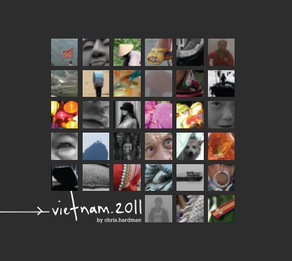 vietnam.2011 book cover