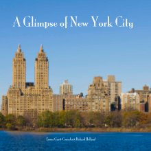 A Glimpse of New York City book cover