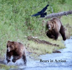 Bears in Action book cover
