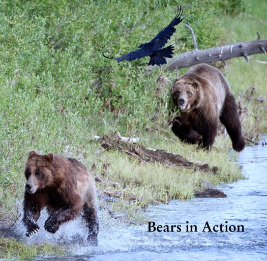 View Bears in Action by Heidi Pinkerton