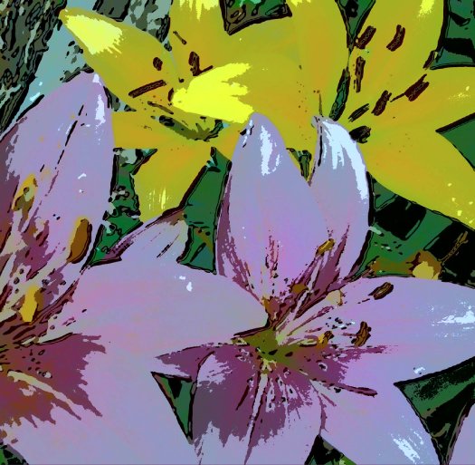 Visualizza Flowers di Charlotte Johnson