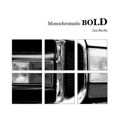 Monochromatic BOLD book cover