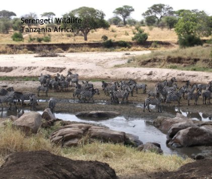 Serengeti Wildlife Tanzania Africa book cover