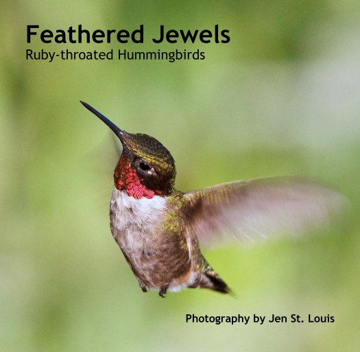 View Feathered Jewels by Jen St. Louis