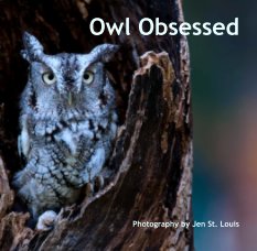 Owl Obsessed book cover