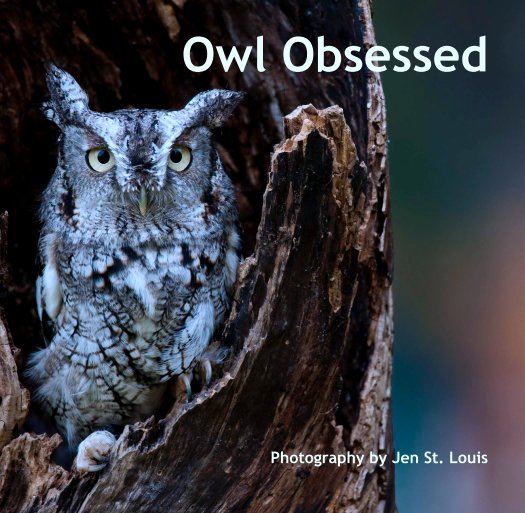 Ver Owl Obsessed por Jen St. Louis