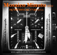 Mosaico Minuto 2011 book cover