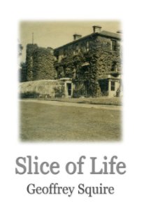 Slice of Life book cover