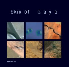 Skin of G a y a book cover