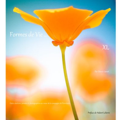 Formes de Vie ... XL book cover