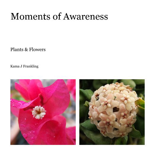 View Moments of Awareness by Kama J Frankling