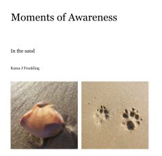 Moments of Awareness book cover