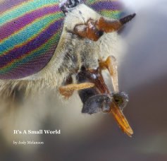 It's A Small World book cover
