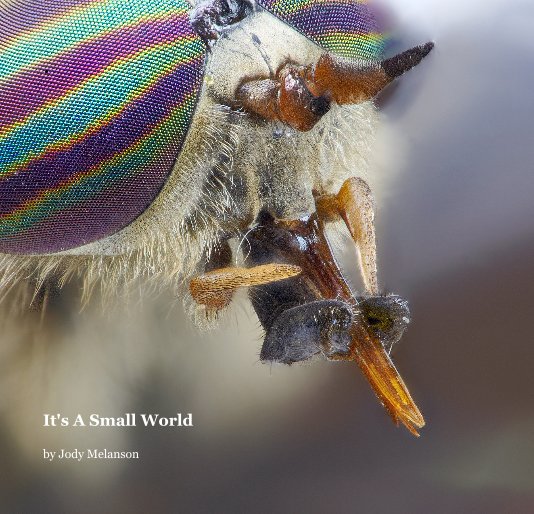 View It's A Small World by Jody Melanson
