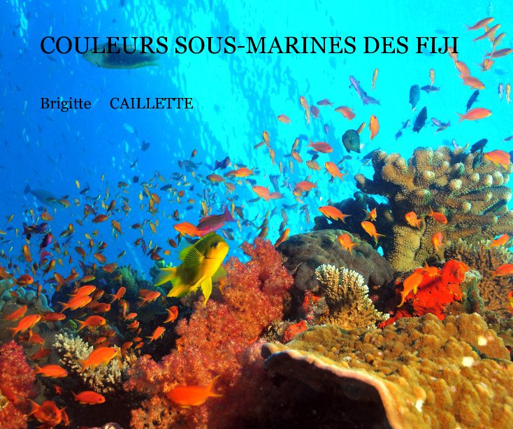 View COULEURS SOUS-MARINES DES FIJI by Brigitte CAILLETTE