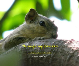 through my camera book cover