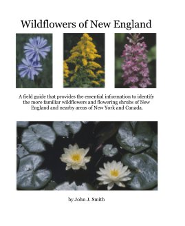 Wildflowers of New England book cover