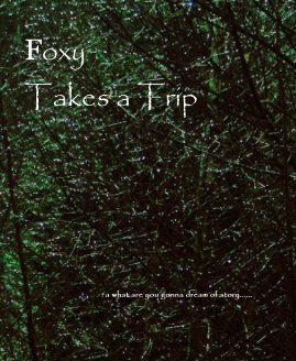 Foxy Takes a Trip book cover