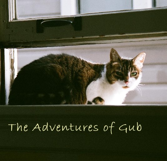 View The Adventures of Gub by Michelle