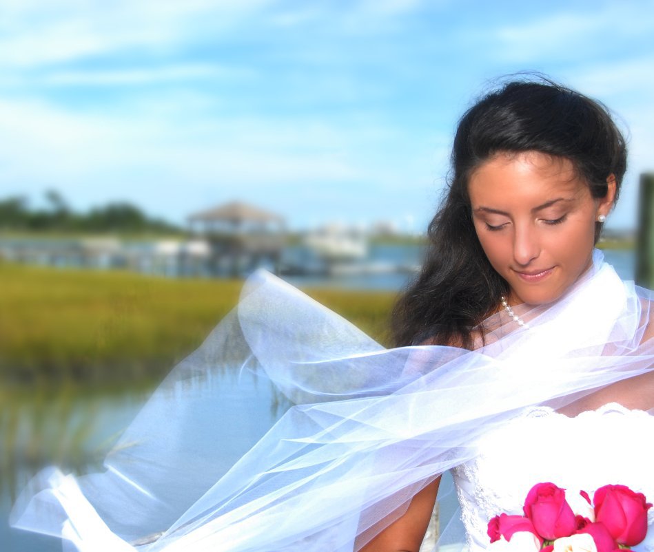 View Kendra's Bridal Portfolio by Mark V. O'Keefe/MVO Photography