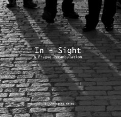 In - Sight book cover