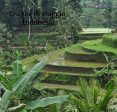 Diario di viaggio Indonesia book cover