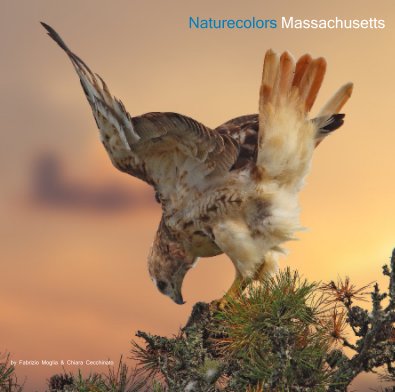 Naturecolors Massachusetts book cover