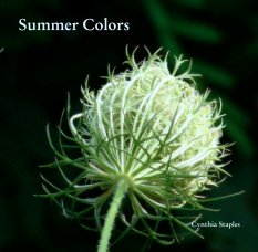 Summer Colors book cover
