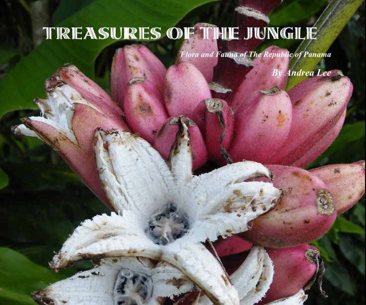 View Treasures of the Jungle by Andrea Lee