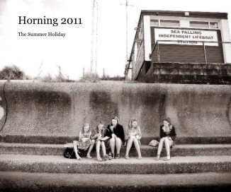 Horning 2011 book cover