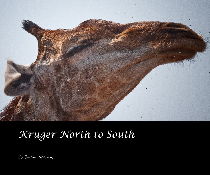 View Kruger North to South by Didier Hayem