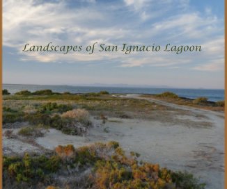 Landscapes of San Ignacio Lagoon book cover