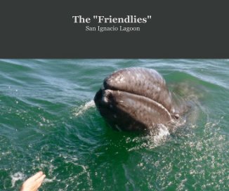 The "Friendlies" San Ignacio Lagoon book cover