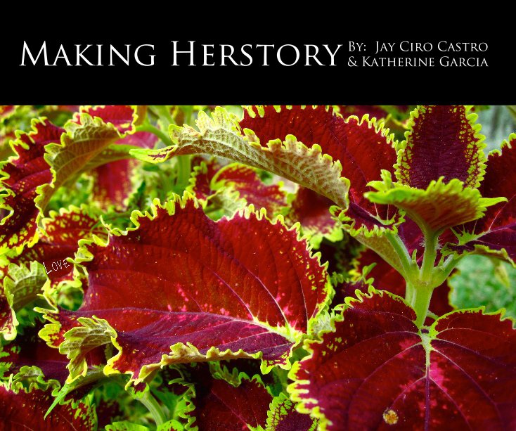 View Making Herstory by Kay Byrd Castro