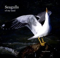 Seagulls of my land book cover