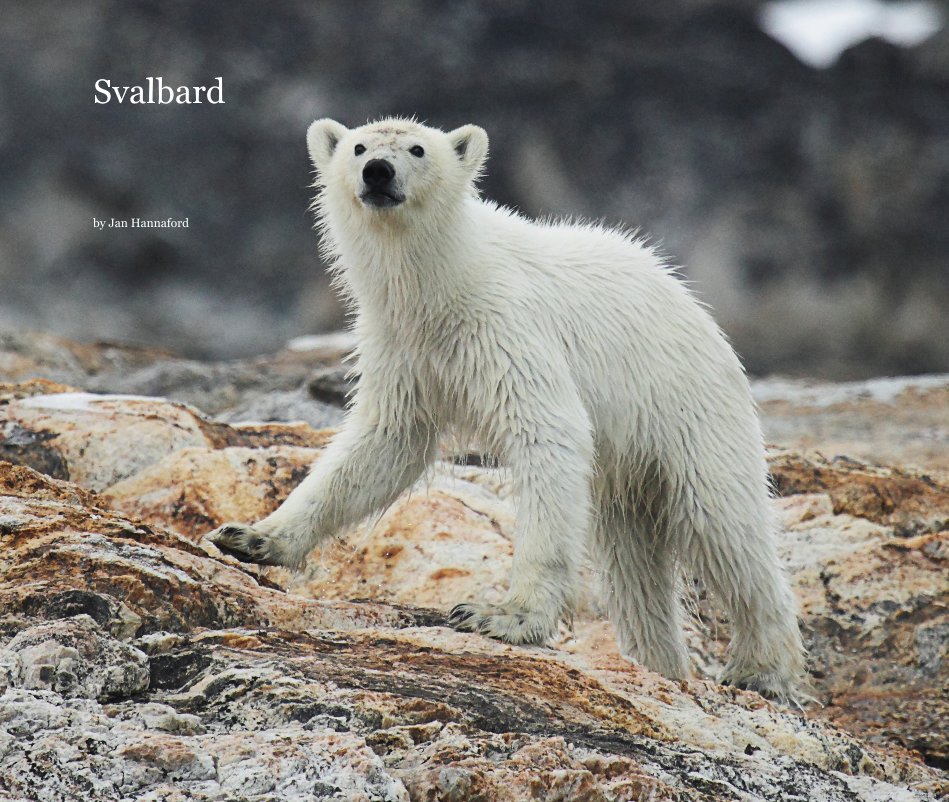View Svalbard by Jan Hannaford