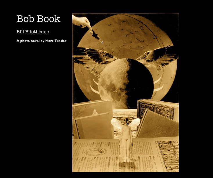 Ver Bob Book por A photo novel by Marc Tessier
