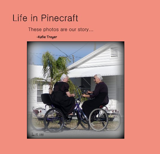 View Life in Pinecraft by -Katie Troyer