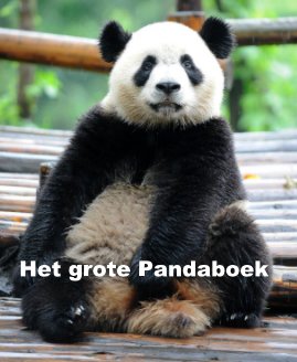 Het grote Pandaboek book cover