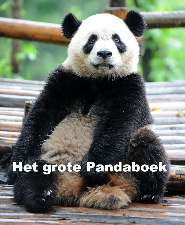 View Het grote Pandaboek by Huub Snoep