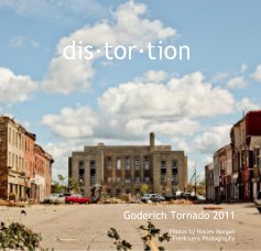 dis·tor·tion book cover