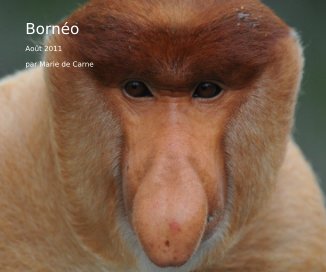 Bornéo book cover