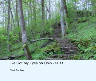 I've Got My Eyes on Ohio - 2011 book cover